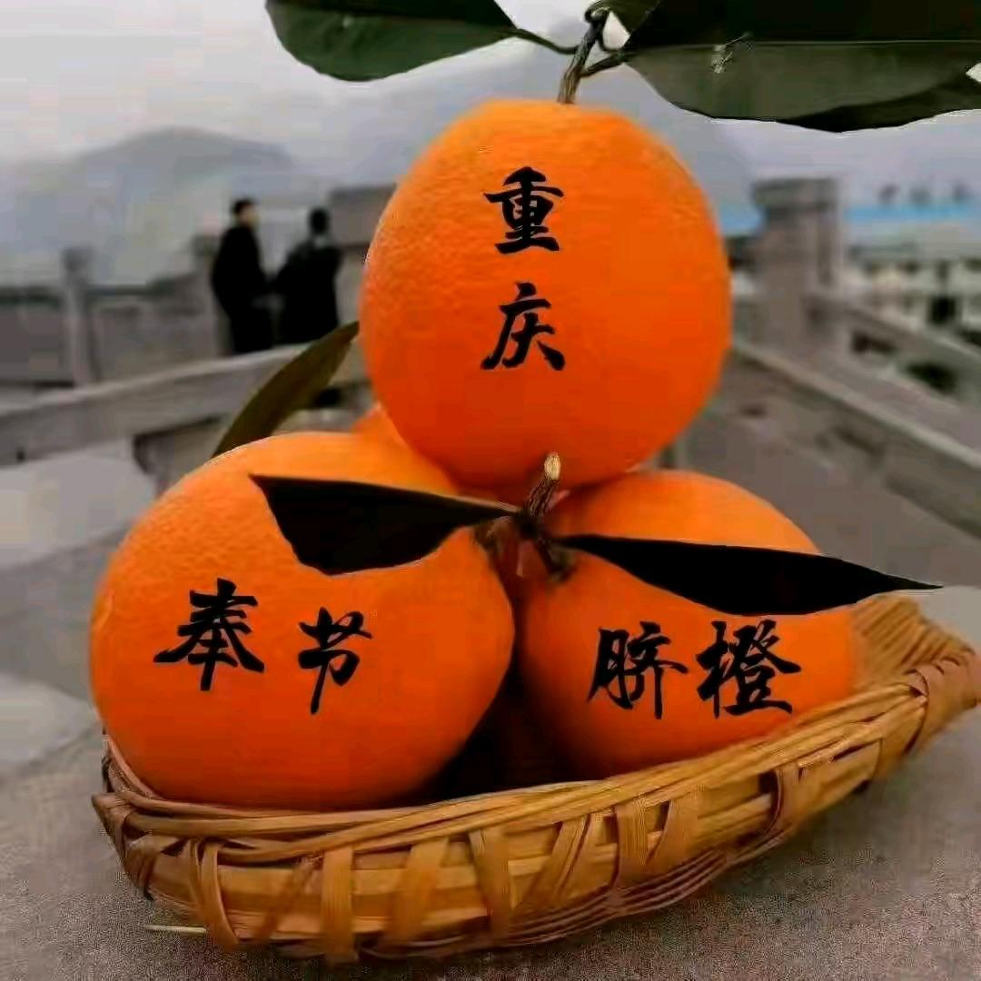 奉节🍊🍊🍊🍊橙子王姐