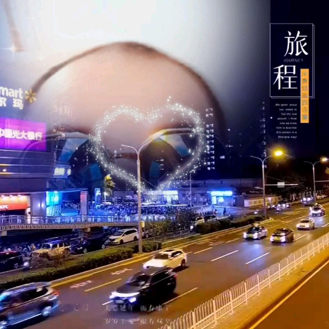 抖音留浪狗在这呀
