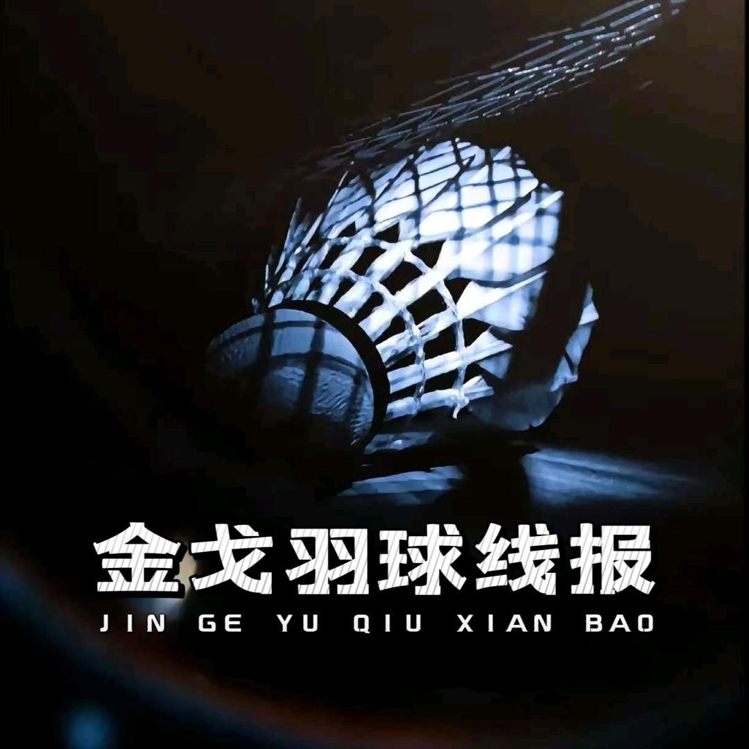 中羽-羽毛球福利官（看主页）