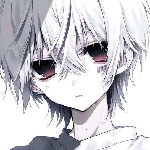 王者荣耀ZiZi（百段打野）