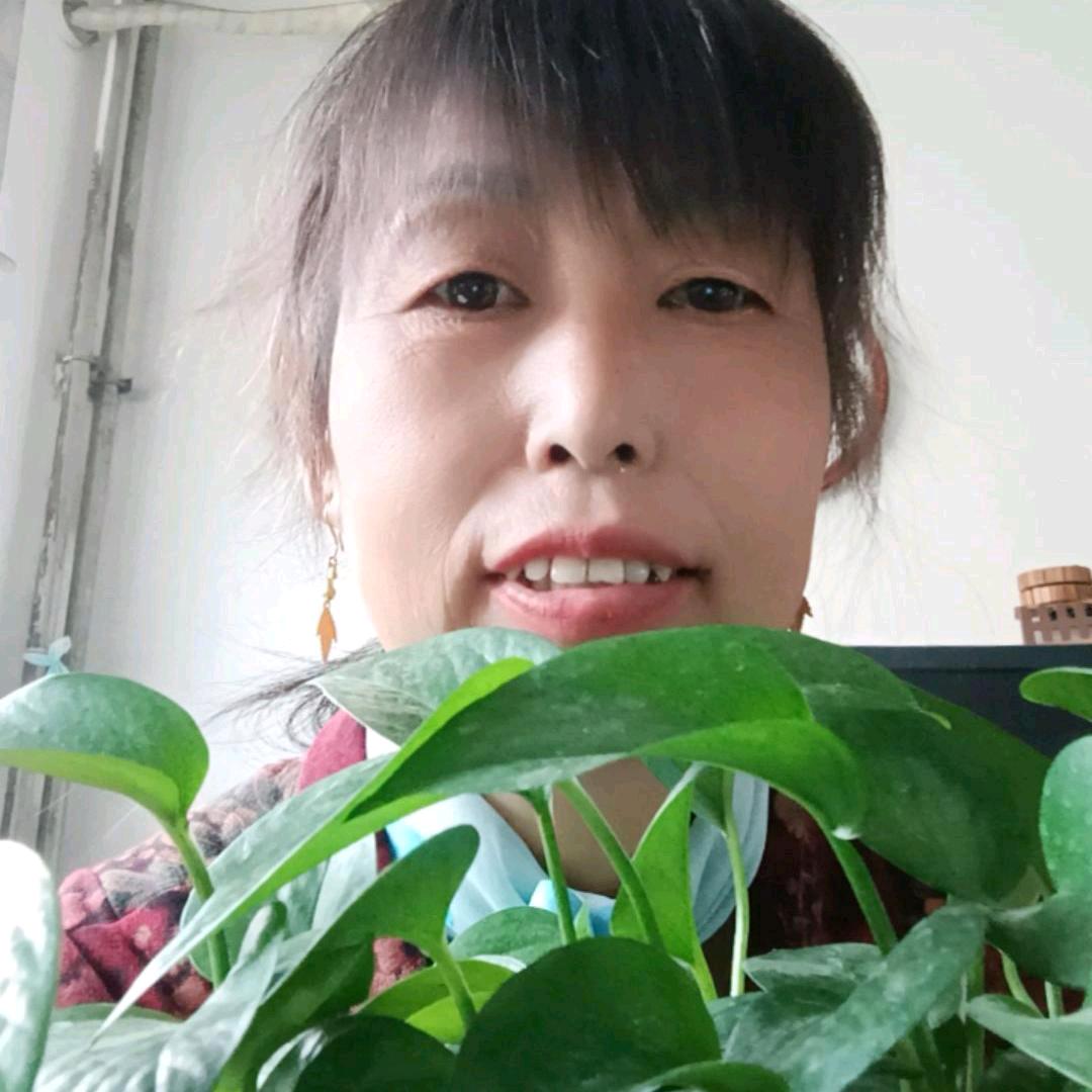 梅花