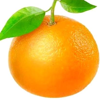 🍊橙zi&🍋Lemon