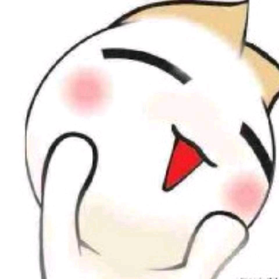 🐰兔子🐰