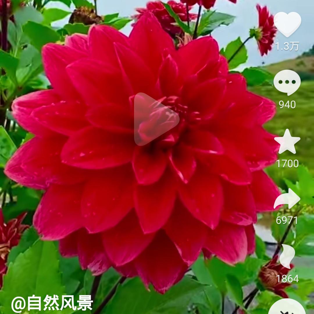 用户757316269