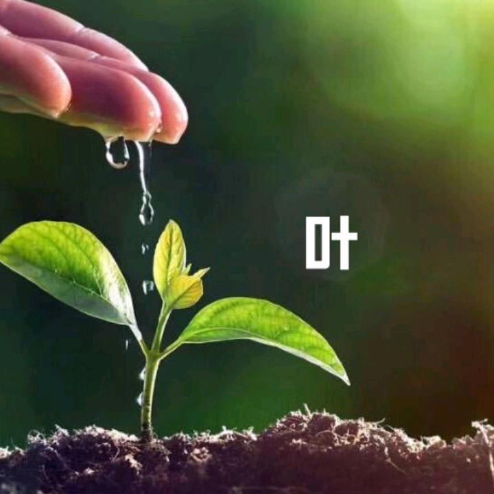 一叶轻舟1726859242