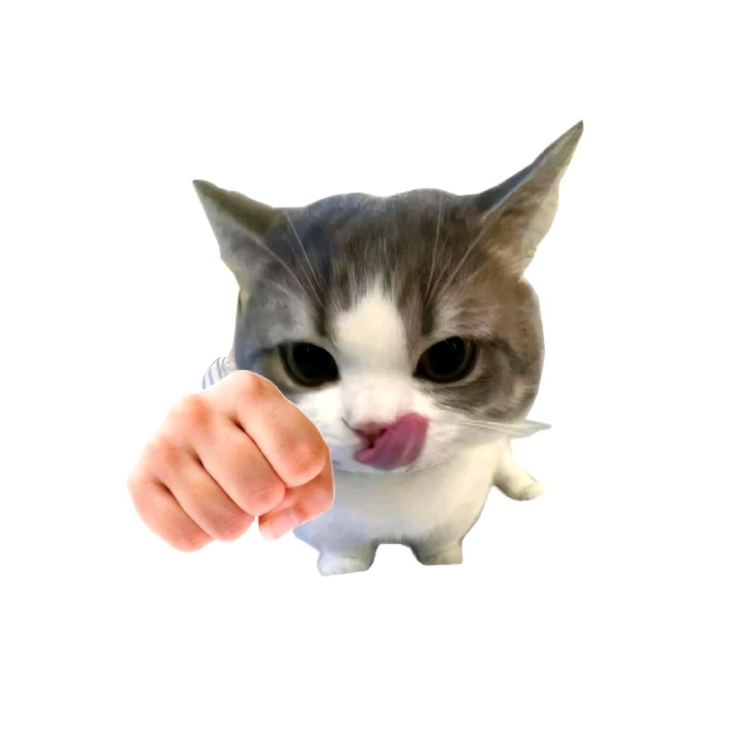 二十七