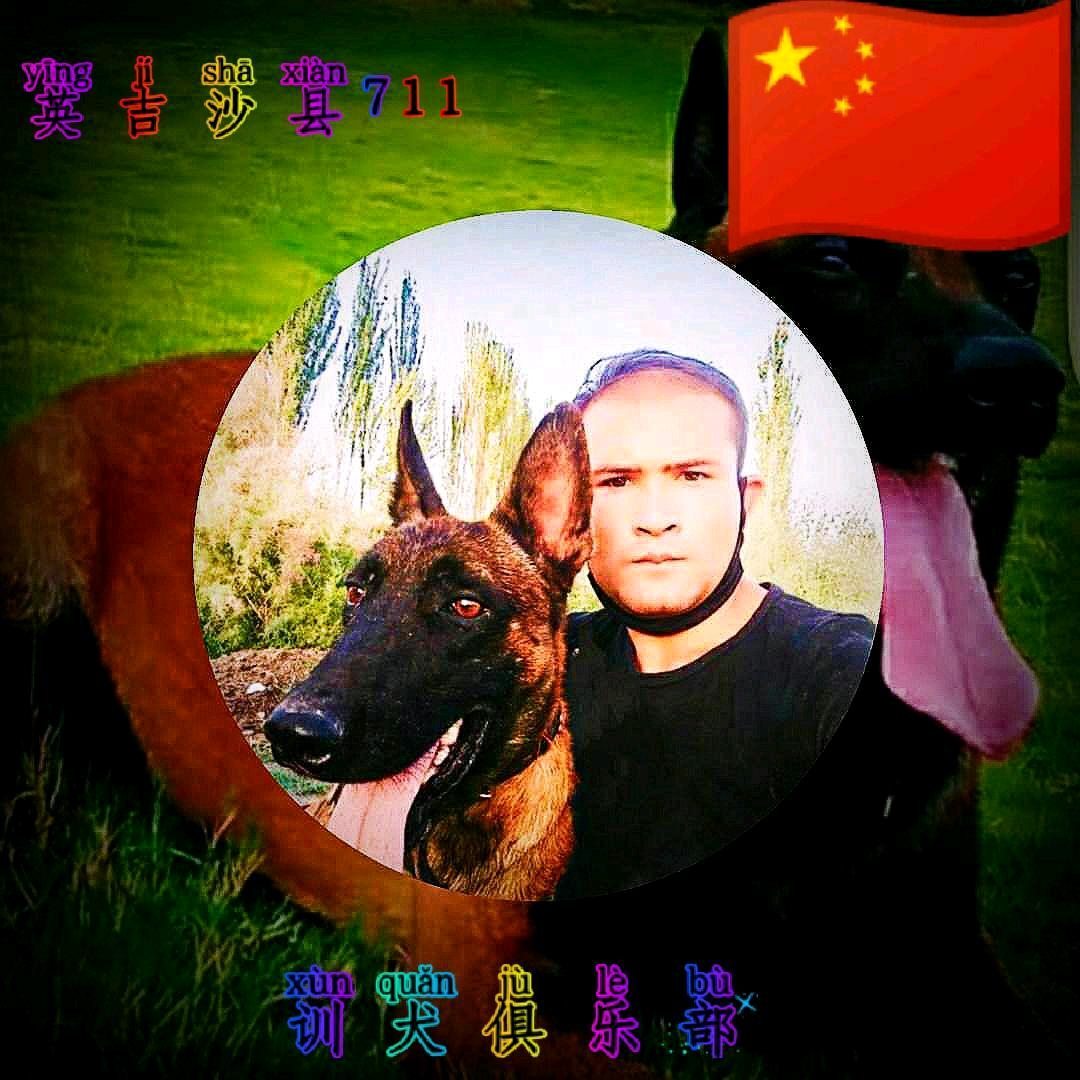 猎豹警犬培训俱乐部 K9