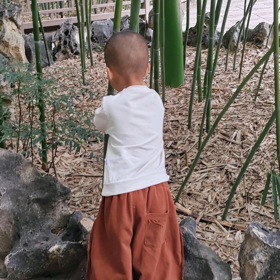 小金鼠顶顶
