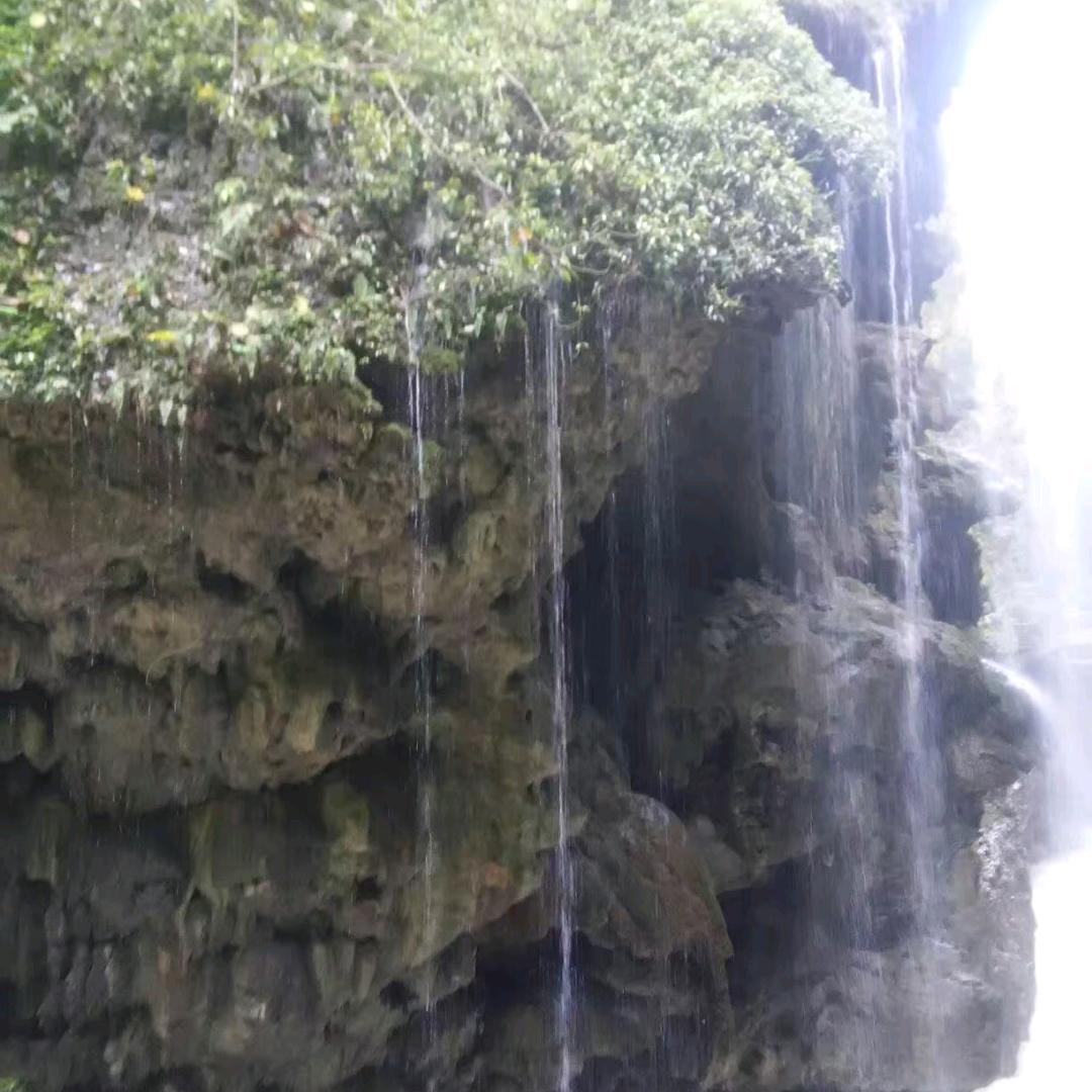 明天会更好