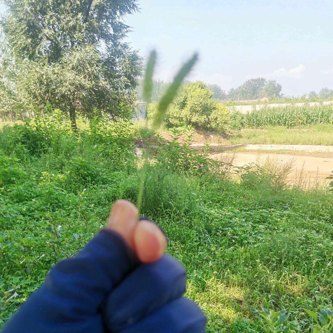 天道酬秦