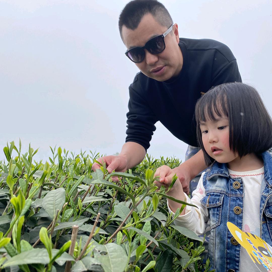 卖茶叶的飞哥爱旅行