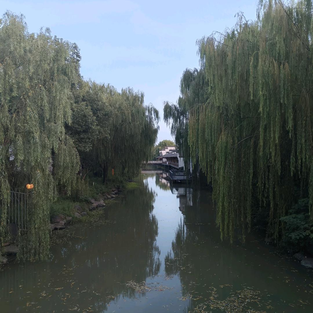 我在这里