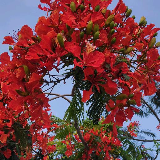 爱听伤感歌<<🐉>>拒私聊