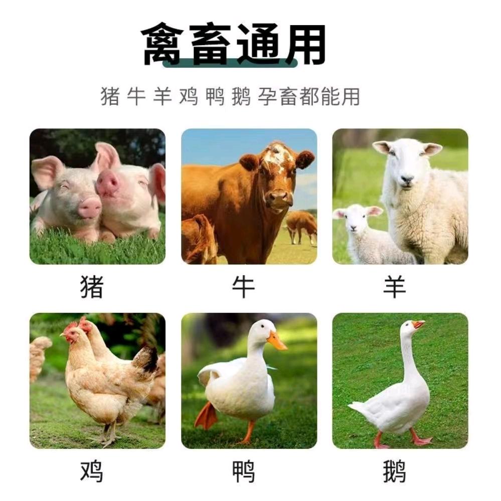 畜禽服务～唐顶