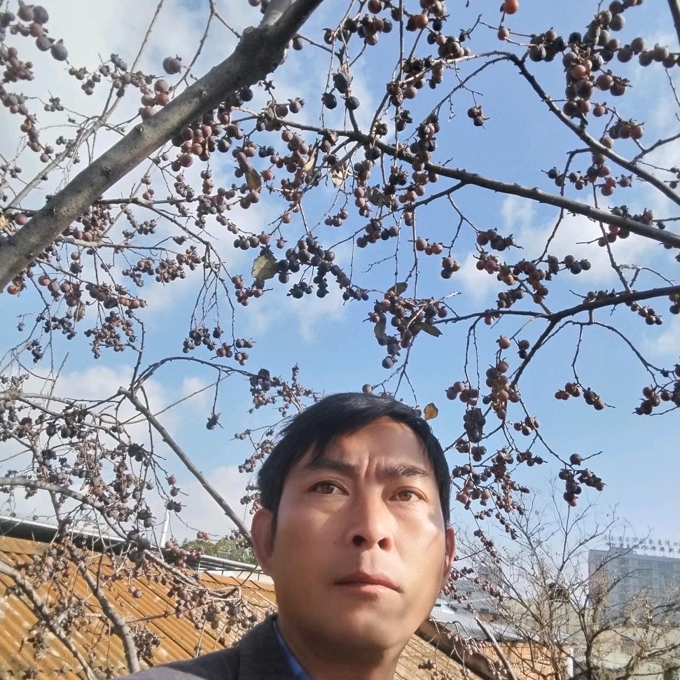 山鹰