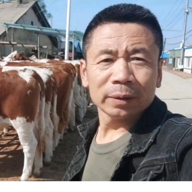 养牛吴哥