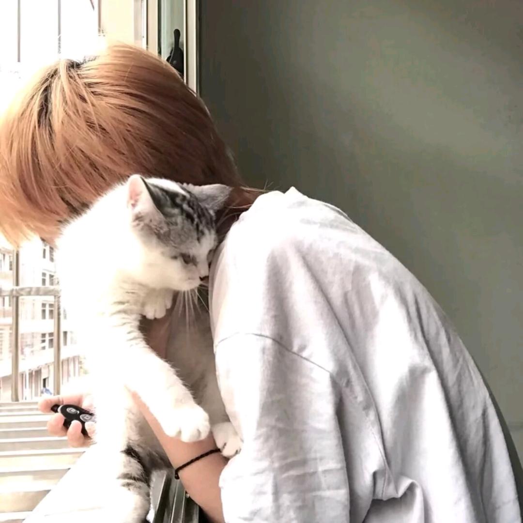 追月与白
