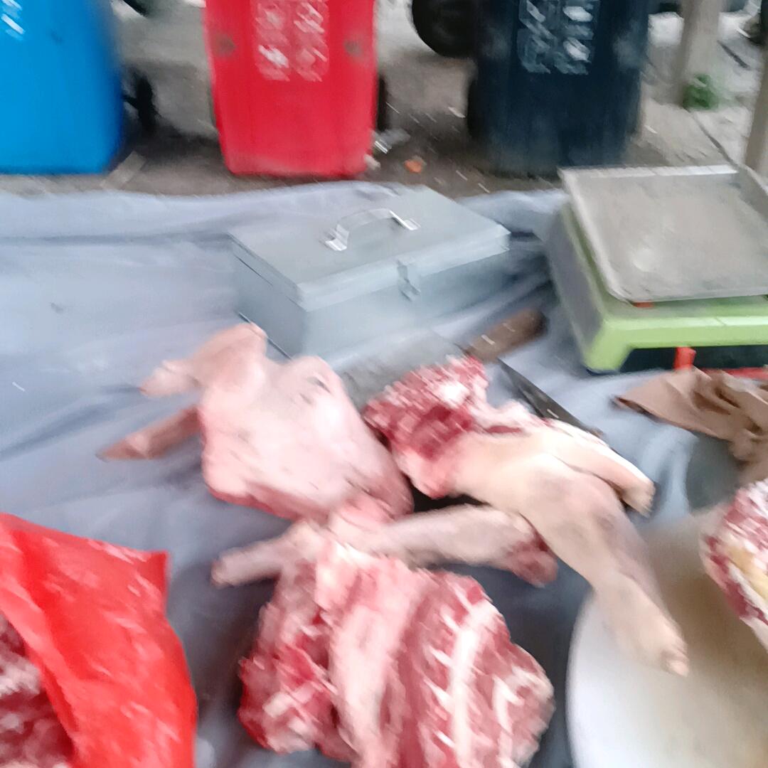 男神