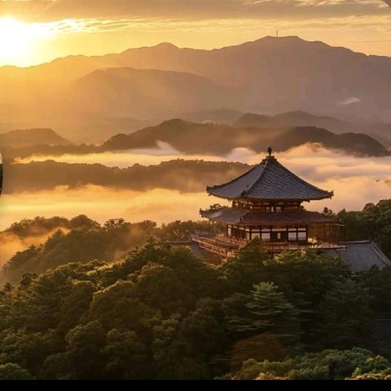 墨染白衣