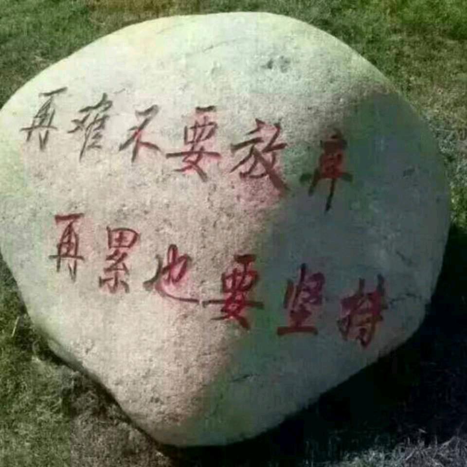 花儿爱上忘情草