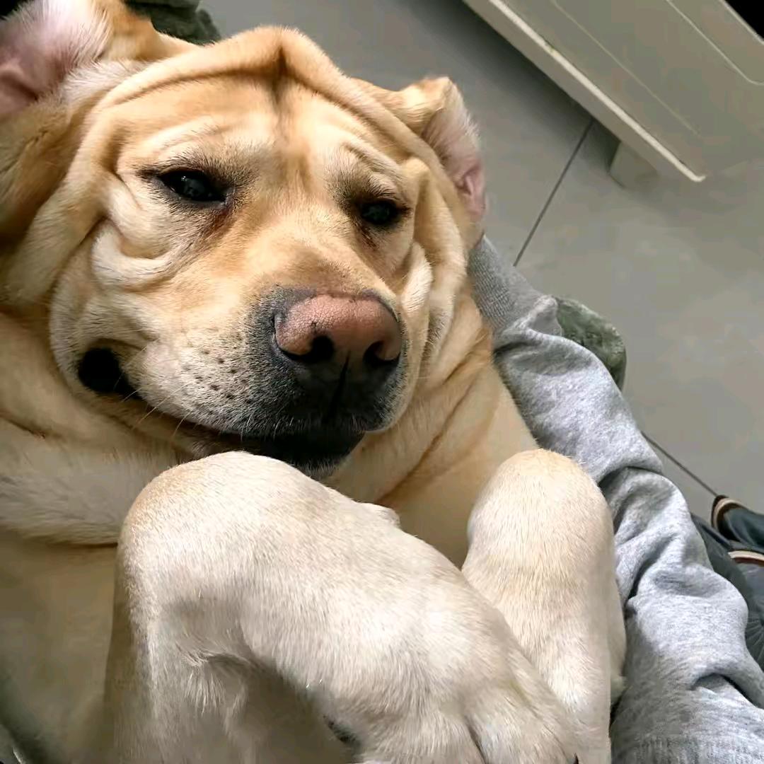 。。。