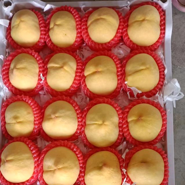 甜蜜蜜黄桃合作社(桃树管理）
