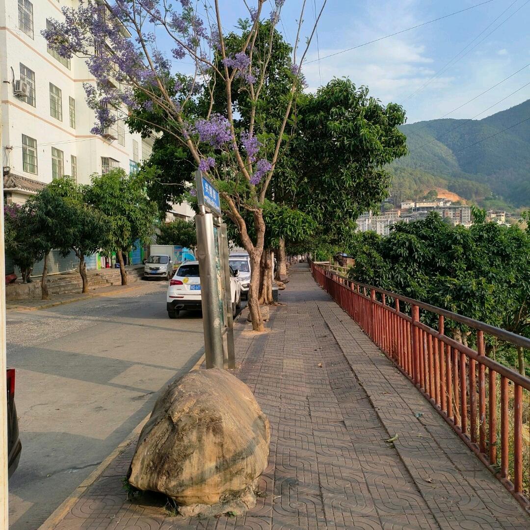 终究是梦