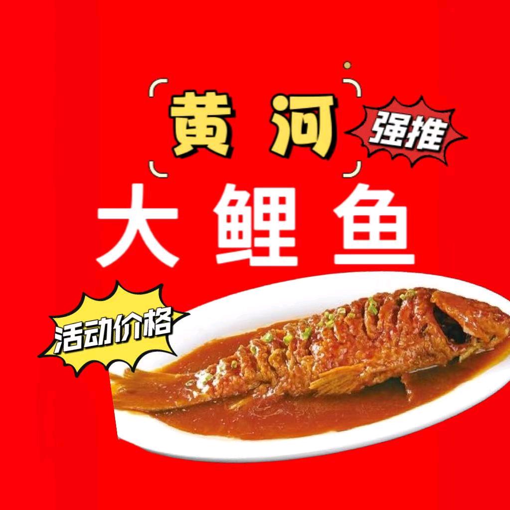 夏津黄河大鲤鱼（招学员）