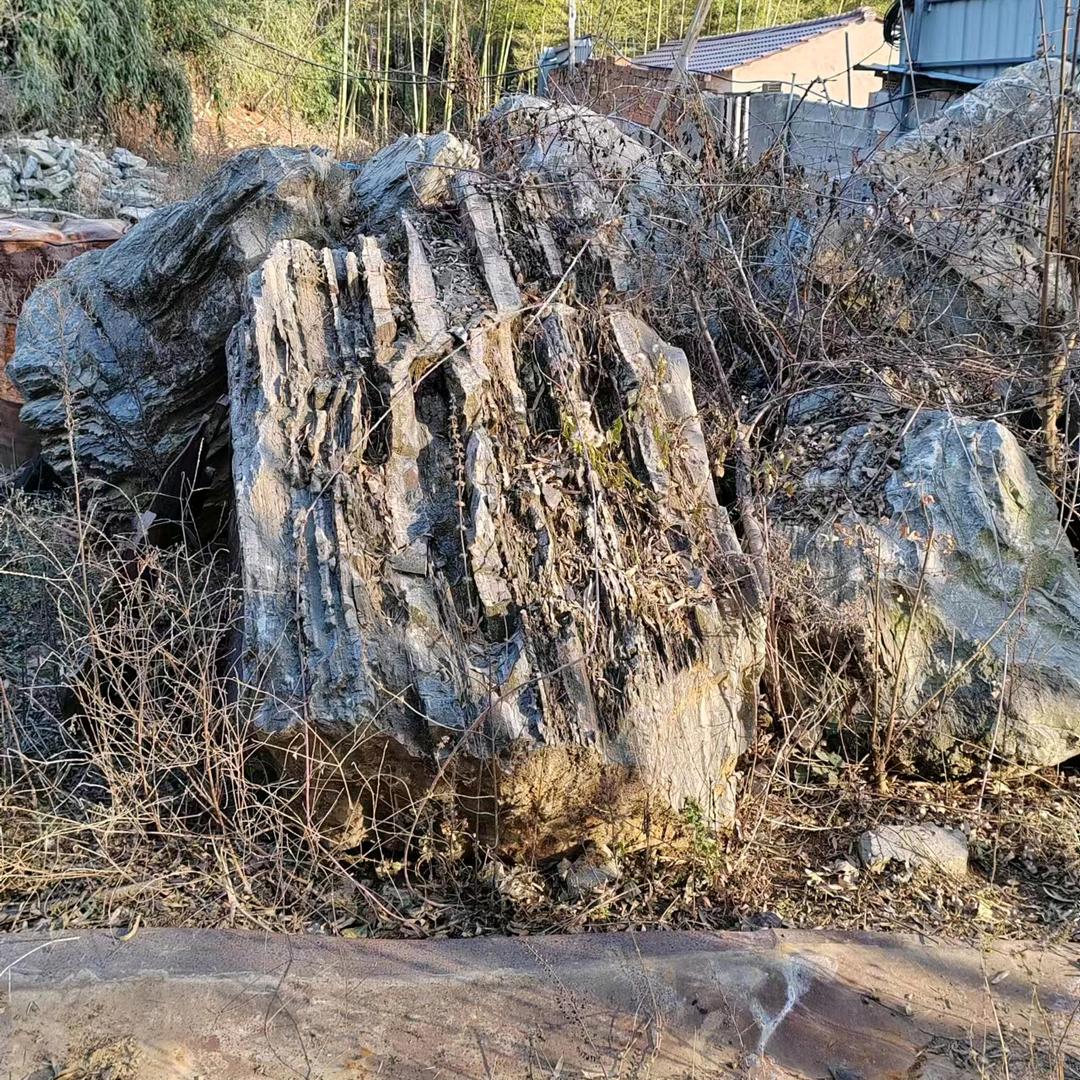 杨明