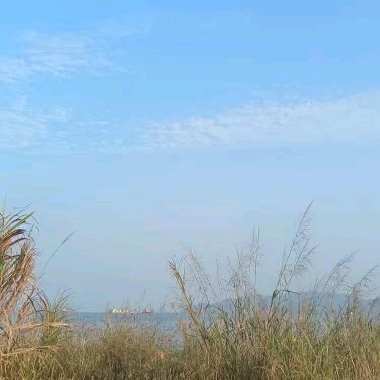 梦芬