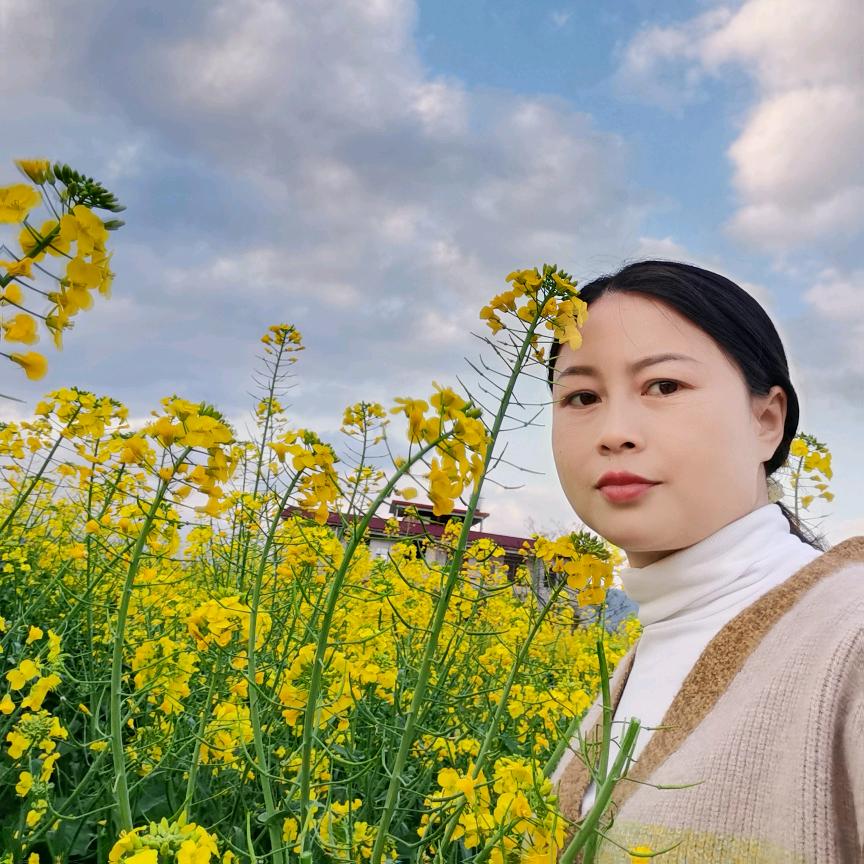 小红象