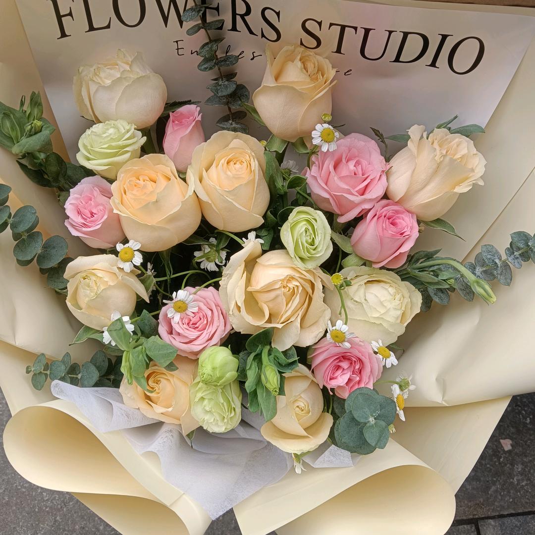 @换个活法（海豚）552