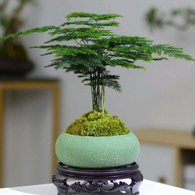 张蒙。@酒窝李姐。