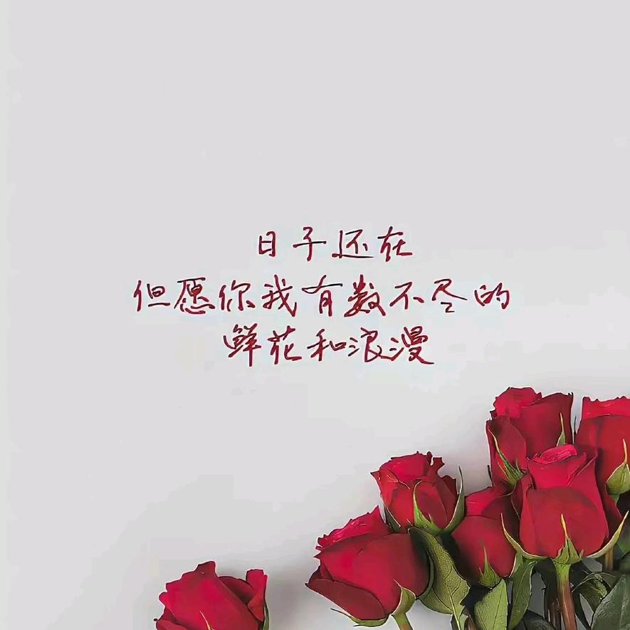 🥀🥀孞琞🥀🥀