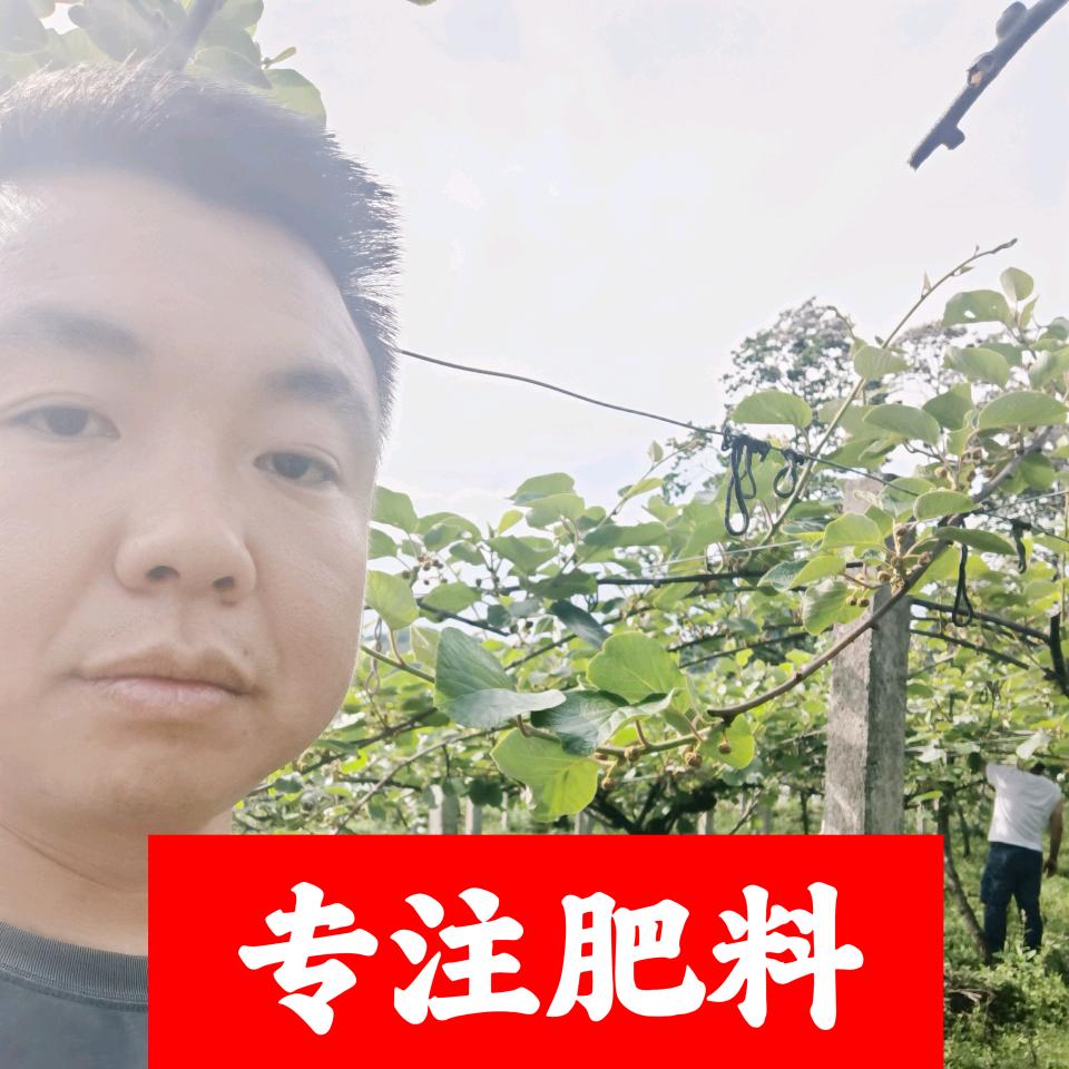 三波农业服务（金正大）