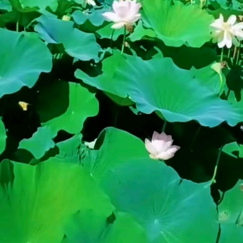，永恒