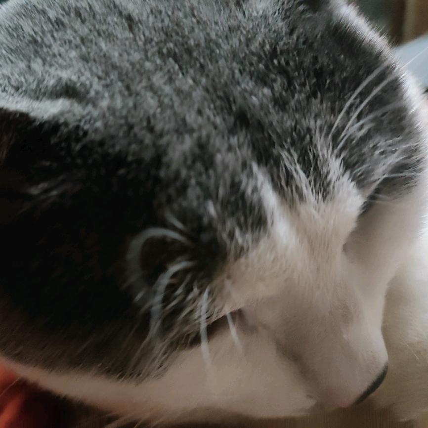 我的青春在奋斗