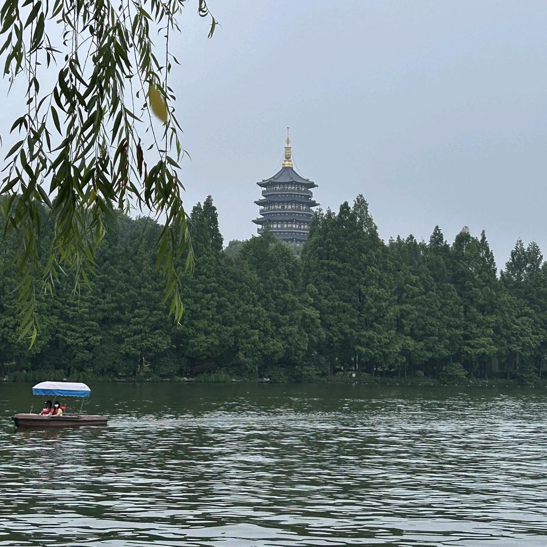 秋秋是什么