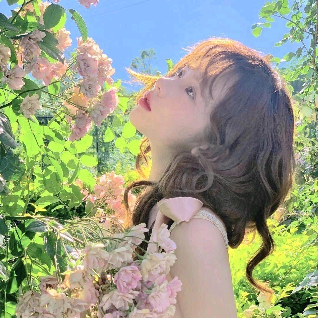୧⍤⃝ 農橙子🍊菌