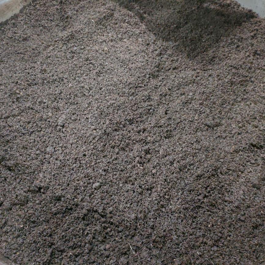 仁怀国贸凉面，凉粉，凉皮，小陈陈