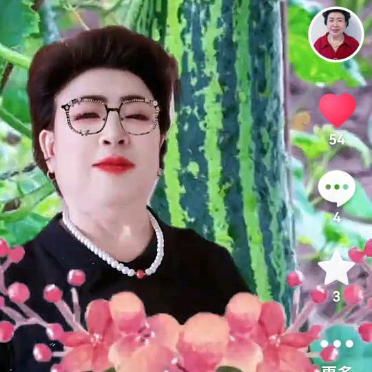 开心刘妹