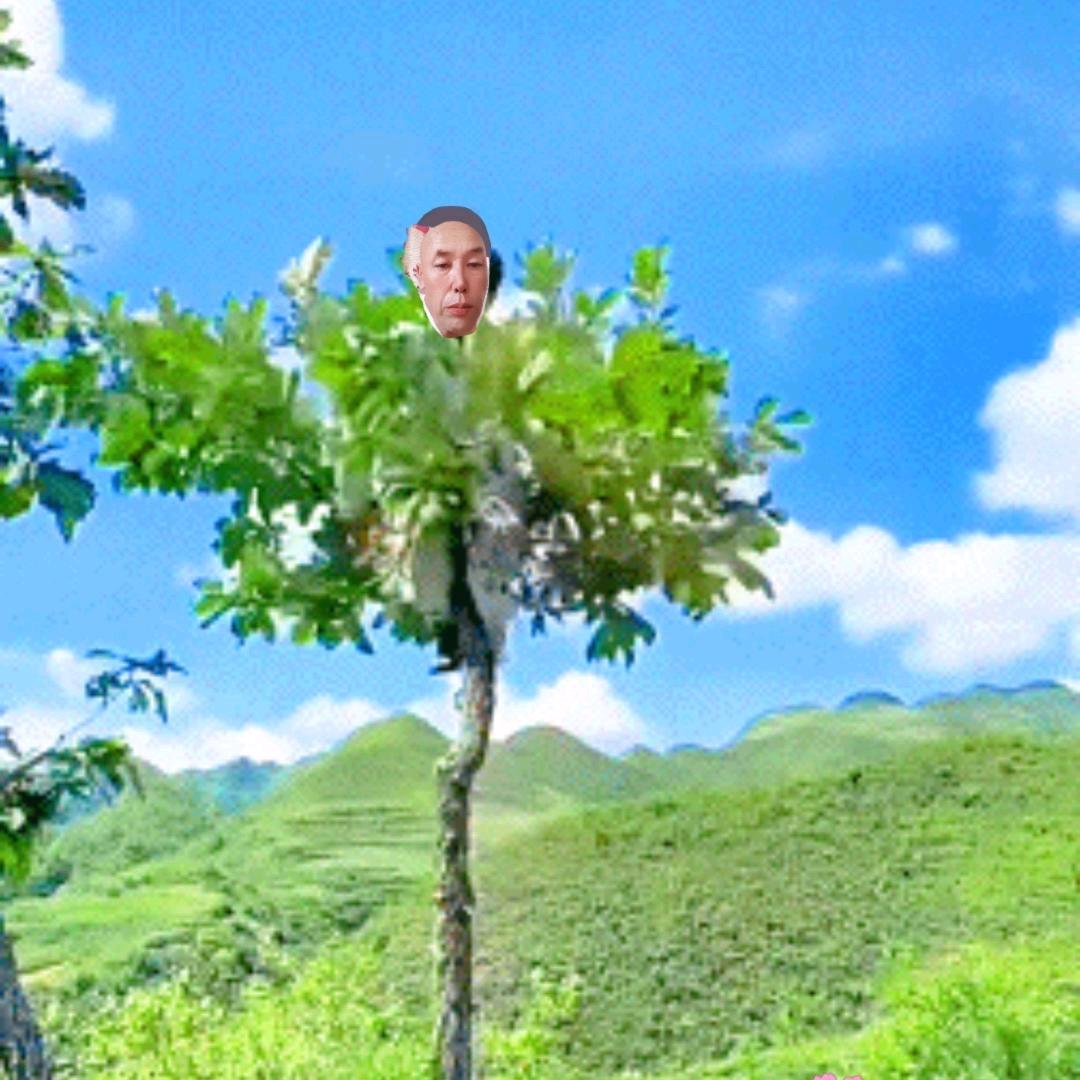 就是这么酷