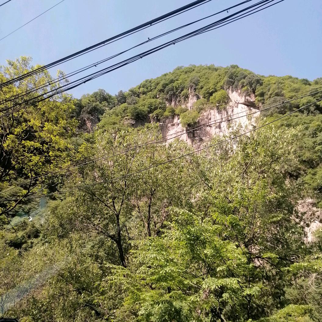 阳阳