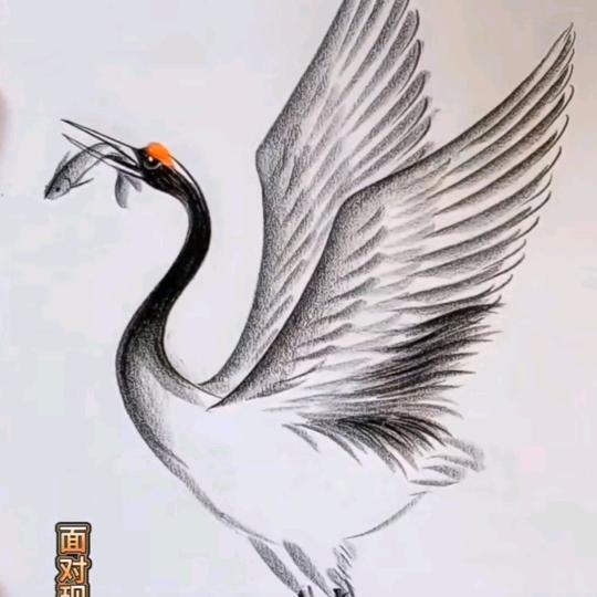 元丰生活馆