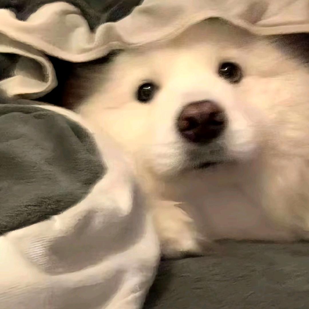 晏安