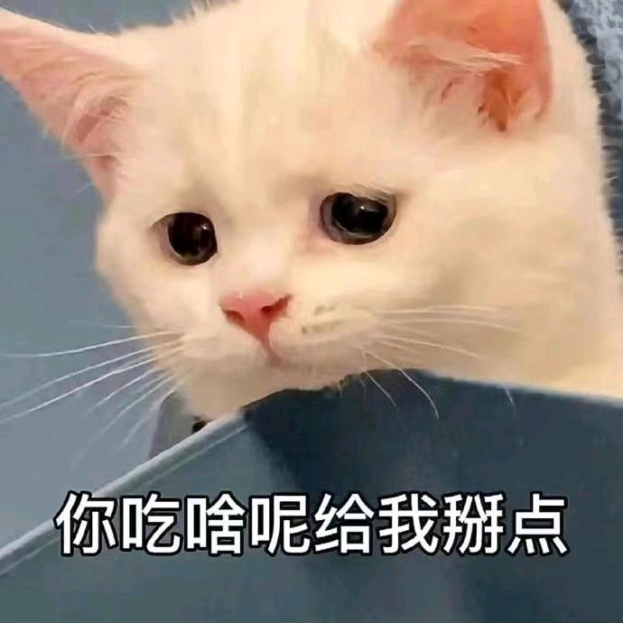 香香的花园