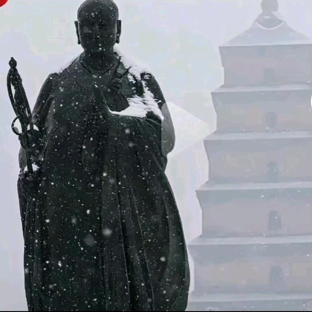 安安单播