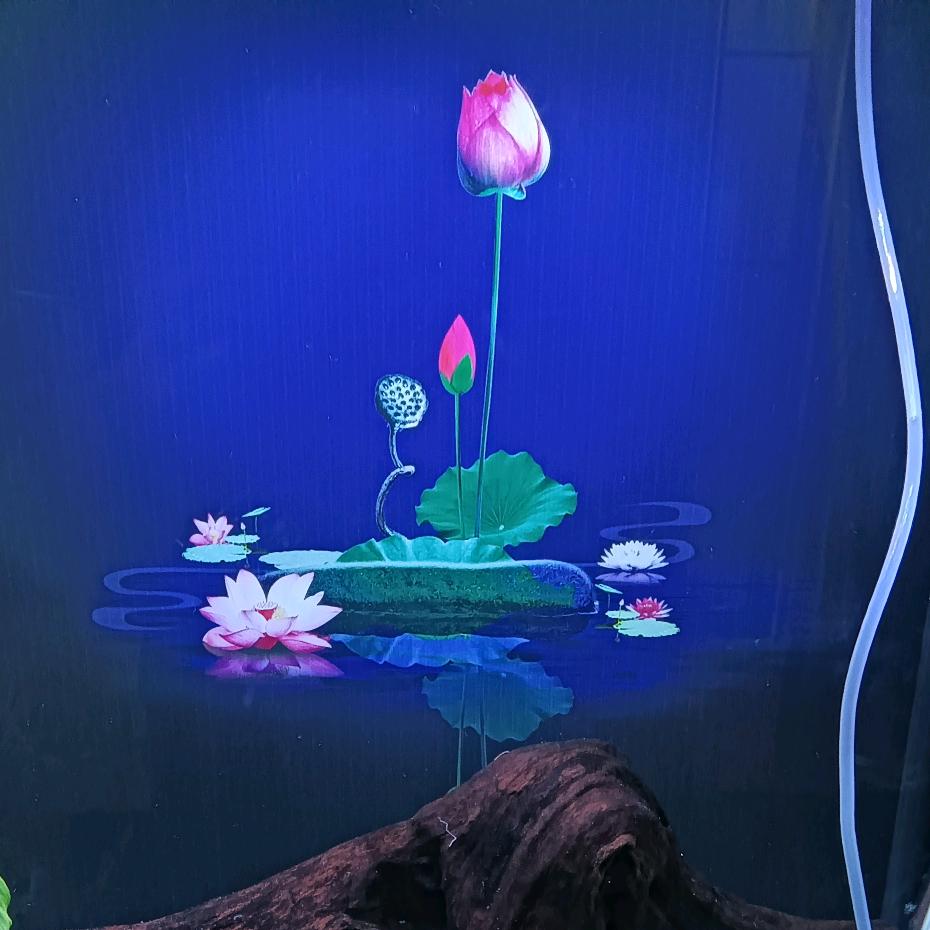 我爱我家