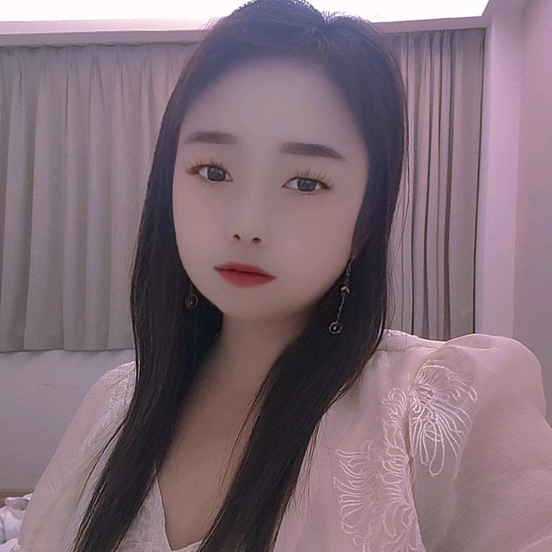 郁金香🌷
