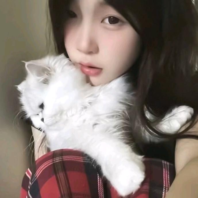 屿离